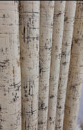 Beige Color Luxury Velvet Curtains with Black and Golden Design